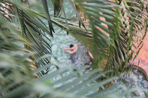 Coral Tree Inn - Maitland Accommodation 36