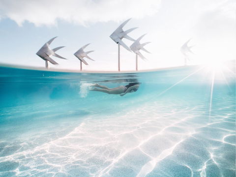 Coral Tree Inn - Maitland Accommodation 39