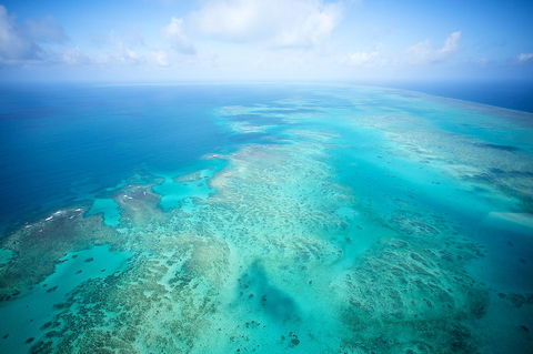 Coral Tree Inn - Maitland Accommodation 37