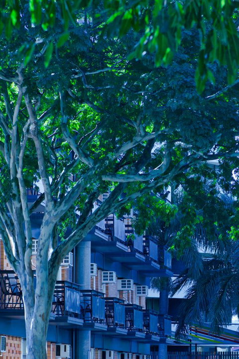 Soho Brisbane - Maitland Accommodation 12