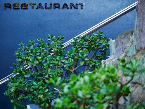 Soho Brisbane - Maitland Accommodation 22