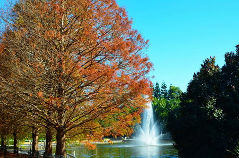 Soho Brisbane - Maitland Accommodation 7