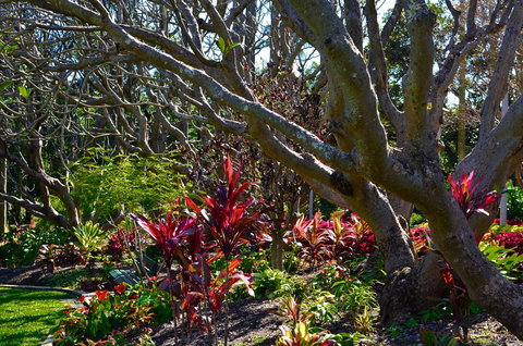 Soho Brisbane - Maitland Accommodation 1