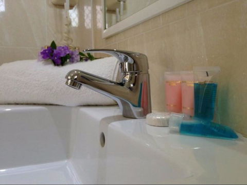 Novena Palms Motel - Maitland Accommodation 2