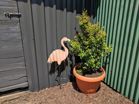 Lilly Pilly House - Maitland Accommodation 10