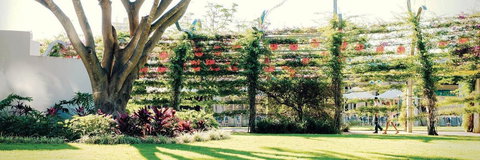 Vine Apartments South Brisbane - Maitland Accommodation 19