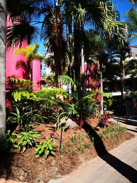 Enderley Gardens Resort - Maitland Accommodation 12