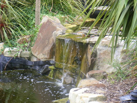 Weeroona Bed And Breakfast - Maitland Accommodation 2