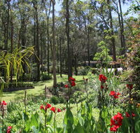 Werekataba - Maitland Accommodation