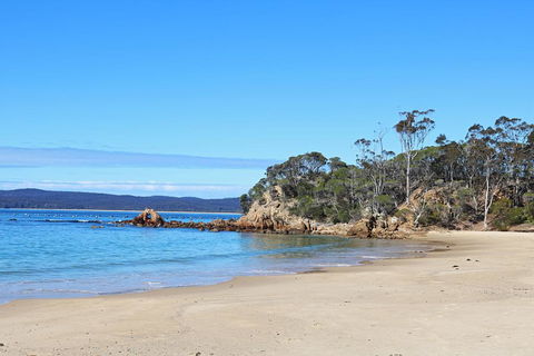 Whale Cove Circuit - Maitland Accommodation 1