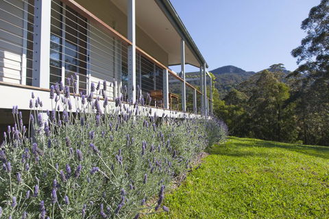 Wilderberry Cottage - Maitland Accommodation 3
