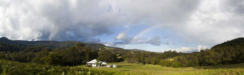 Wilderberry Cottage - Maitland Accommodation 2