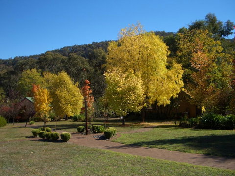 Willowlake Cottages - Maitland Accommodation 0