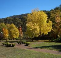 Willowlake Cottages - Maitland Accommodation