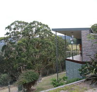 Woollybutt - Maitland Accommodation