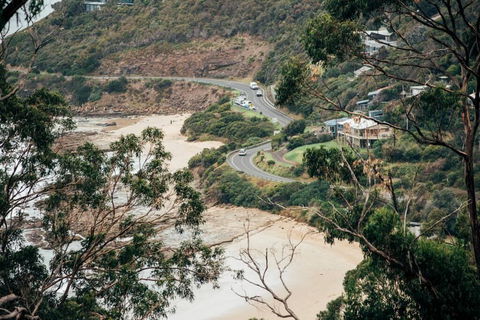 WYE UP - Through The Treetops. Out To The Sea. - Maitland Accommodation 2