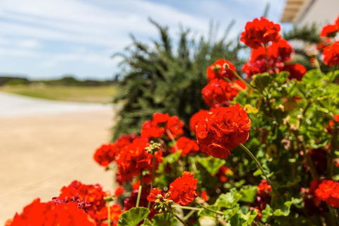 Wytonia Beachfront Accommodation - Maitland Accommodation 3