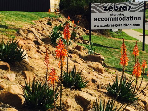 Zebras Guest House Geraldton - Maitland Accommodation 2