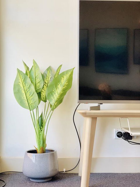 ZEN Homes On Collins - Maitland Accommodation 3