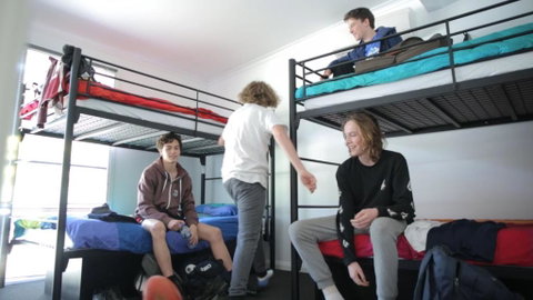 Alpine Sports Lodge - Maitland Accommodation 0