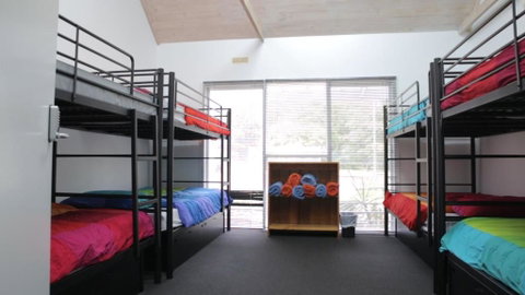 Alpine Sports Lodge - Maitland Accommodation 4