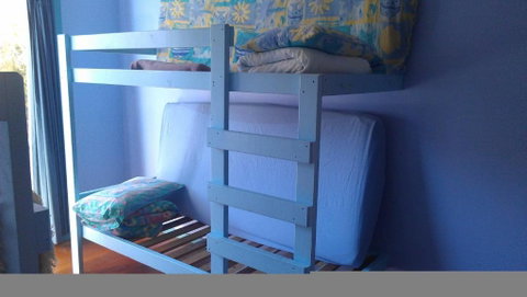 Anglesea Backpackers - Maitland Accommodation 0