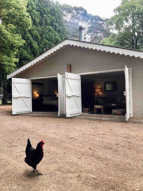 Annies Barn, Fitzroy Falls - Maitland Accommodation 0