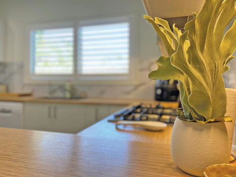 Apipi Holiday House - Maitland Accommodation 4