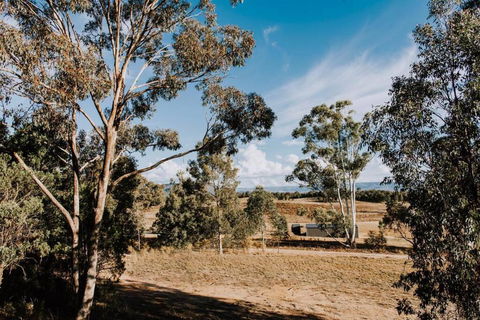 Apple Tree Cottage - An Idyllic Country Reset - Maitland Accommodation 1