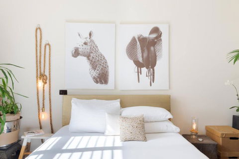 Architectural Home, Pool Oasis/ Steps From Trendy Chapel St. - Maitland Accommodation 3