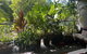 Baden 57 - Rainbow Shores Pools - Tennis Court - Walk To Beach - Aircon - thumb 3