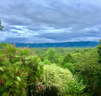 Daintree Manor BB - Maitland Accommodation