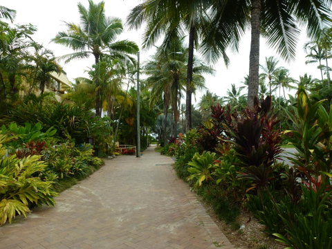 Martinique On Macrossan - Maitland Accommodation 22