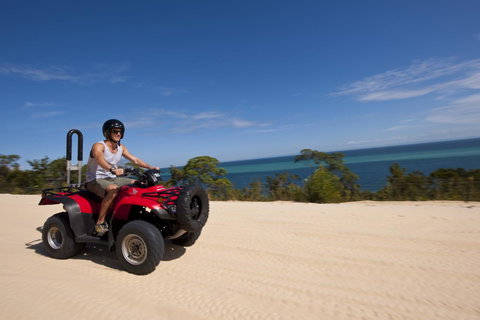 Tangalooma Island Resort - Maitland Accommodation 12