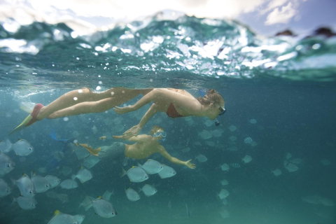 Tangalooma Island Resort - Maitland Accommodation 4