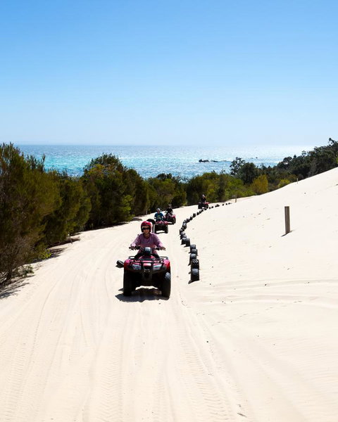 Tangalooma Island Resort - Maitland Accommodation 11