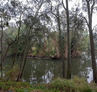 1 Private Single Room in Carramar 1-minute walk to Station - SHAREHOUSE - Maitland Accommodation