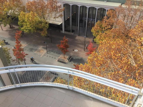 Dana-Cozy Private Room In Shared Central Apt-Rm 1 - Maitland Accommodation 0