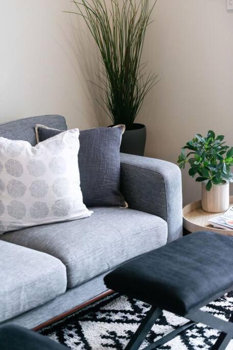 Cute As A Button - Picket Fence 3 Bed Stylish Home - Maitland Accommodation 4