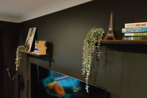 Deluxe Fully Air-conditioned 4BR House With Movie & Family Room - Maitland Accommodation 1