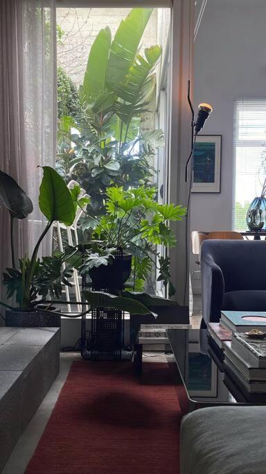 Designer Warehouse Conversion In Fitzroy - Parking - Maitland Accommodation 3