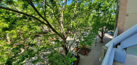 Dana-Spacious Private Room In Shared 2-Bedroom Apartment-2 - Maitland Accommodation 1