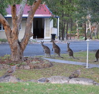 31 The Rocks - Maitland Accommodation