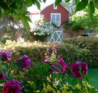 A Country Barn Retreat - Maitland Accommodation