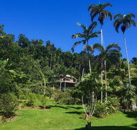 A Daintree Garden - Maitland Accommodation