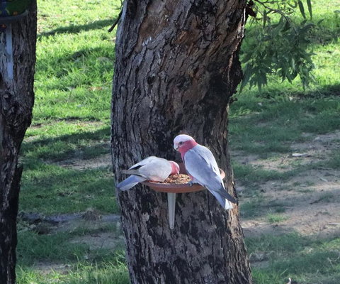 A Stanthorpe Getaway - Maitland Accommodation 2