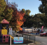 Acacia Caravan Park  Holiday Units - Maitland Accommodation