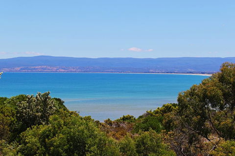 Acacia Cottage - Maitland Accommodation 1