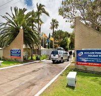 Acclaim Pine Grove Holiday Park - Maitland Accommodation