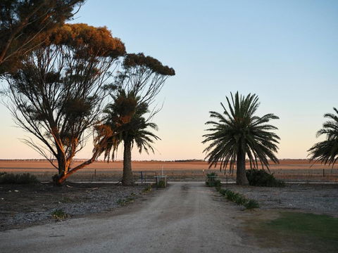 Forgo Tten Paddock - Maitland Accommodation 2